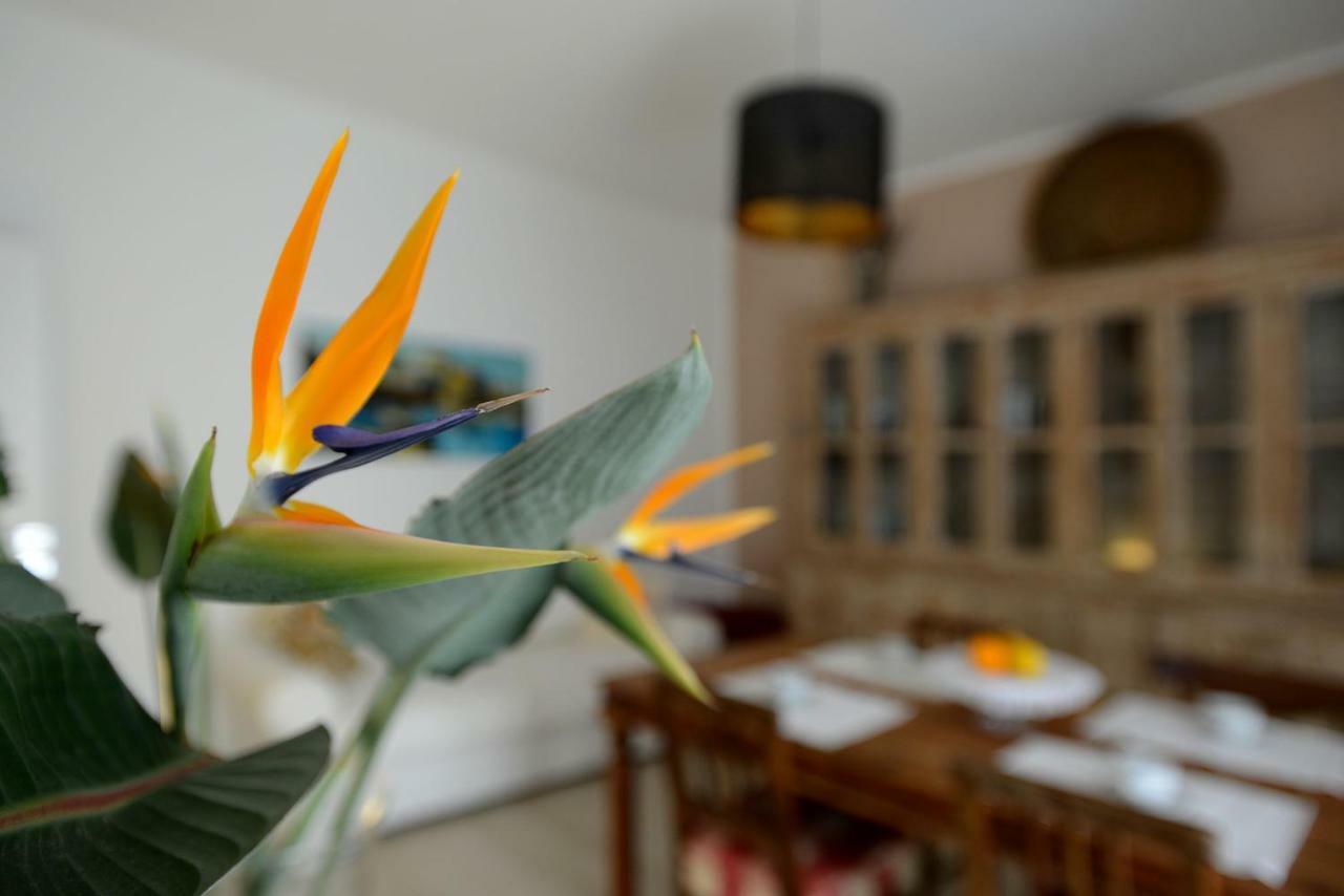 B&B Alghero 82 Eksteriør billede
